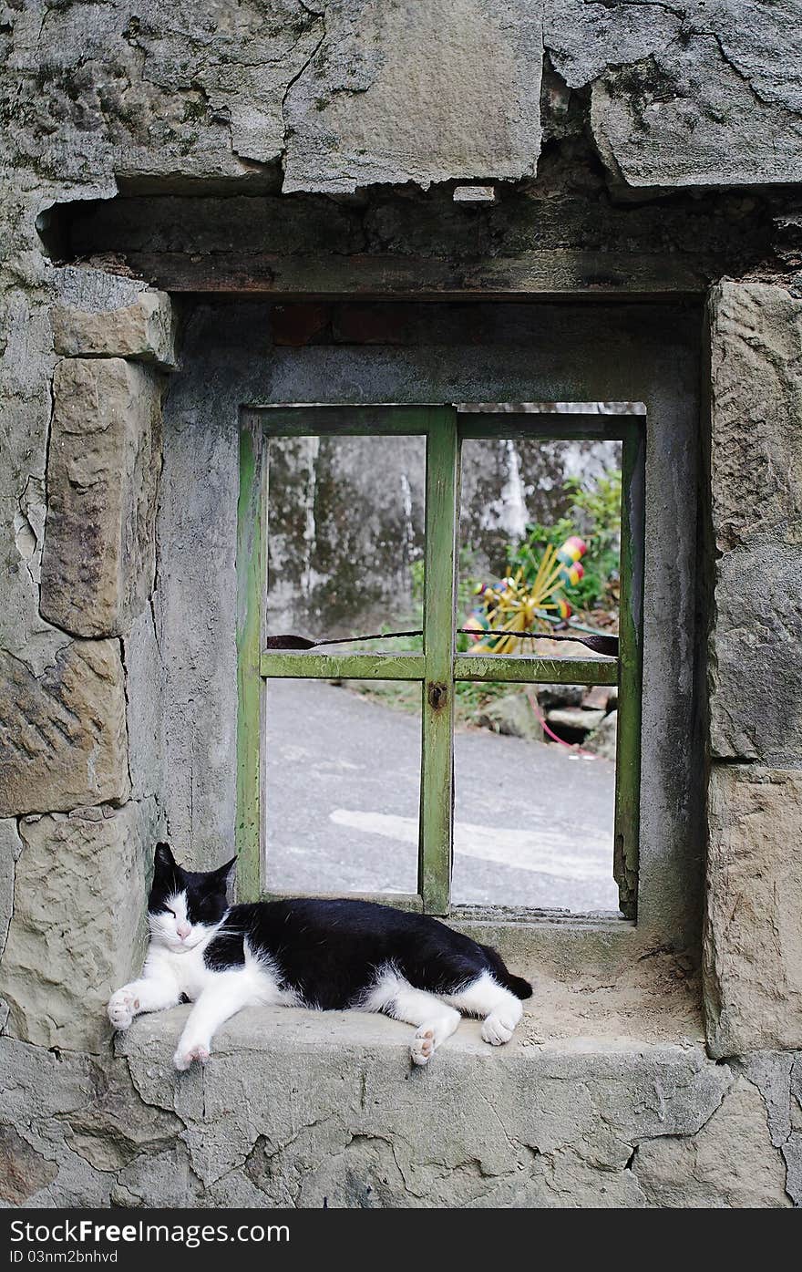 The cat lay on the stone window