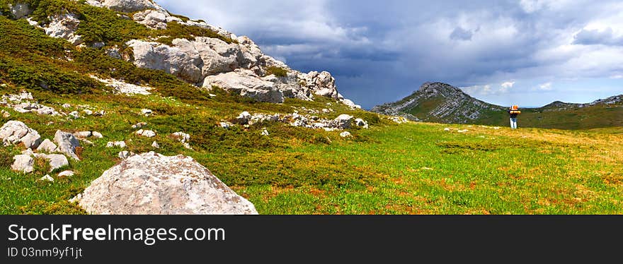 Summer landscape in the mountains