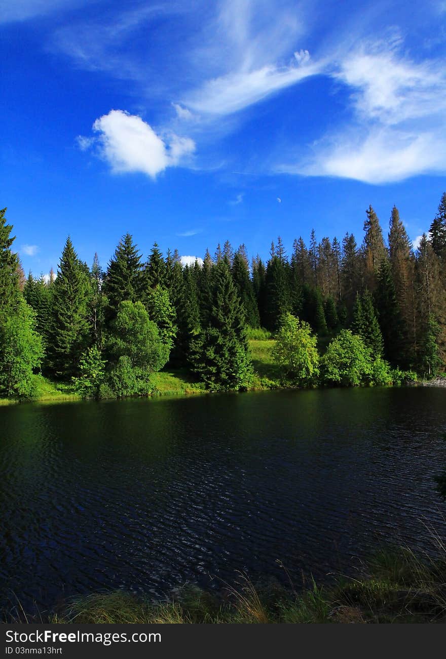 Lake Landscape under blue sky and white clouds. Laka in Sumava.