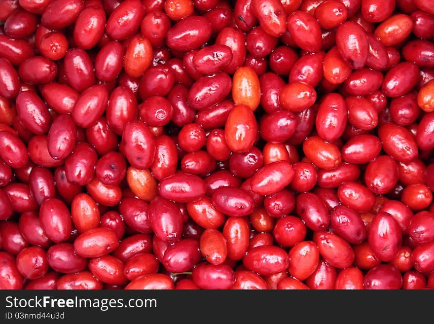 Cornelian Cherries