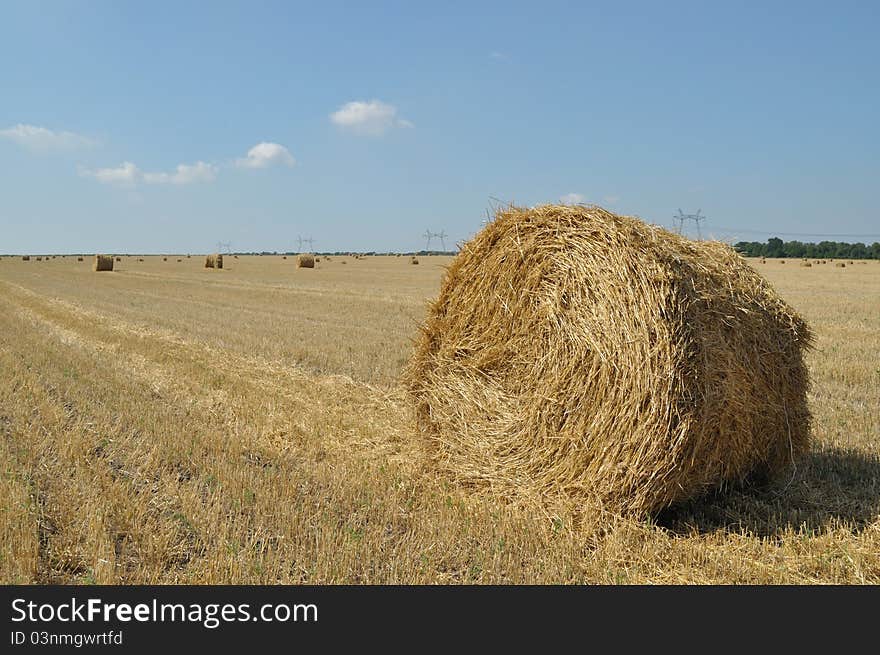 On The Sloping Field Of Wheat Is A Big Stack Of Straw