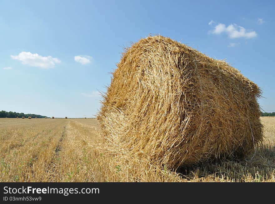 On The Sloping Field Of Wheat Is A Big Stack Of Tw