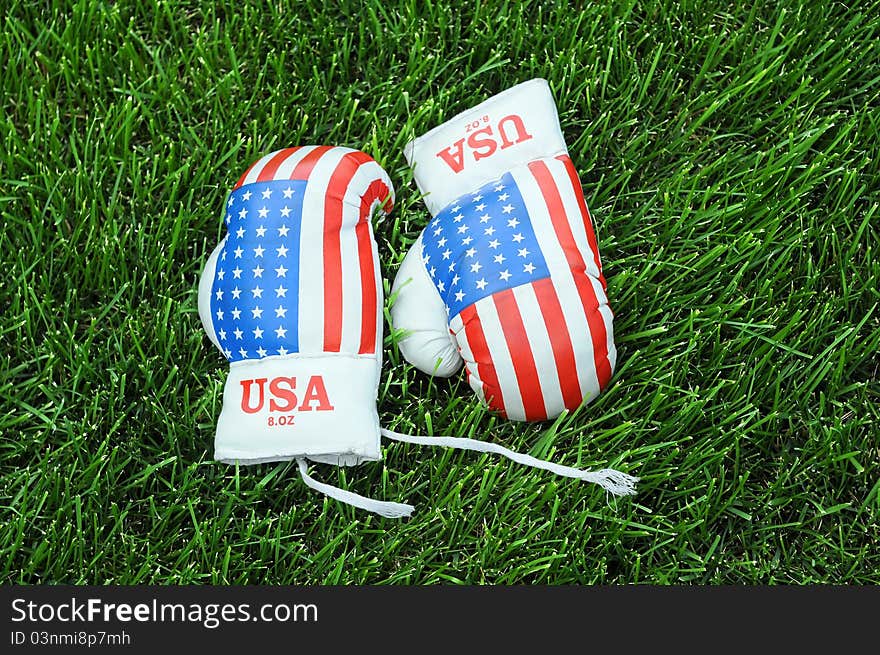 Pair of used boxing gloves with US national symbol on the green grass