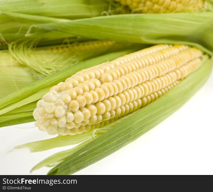 Corn with leaves