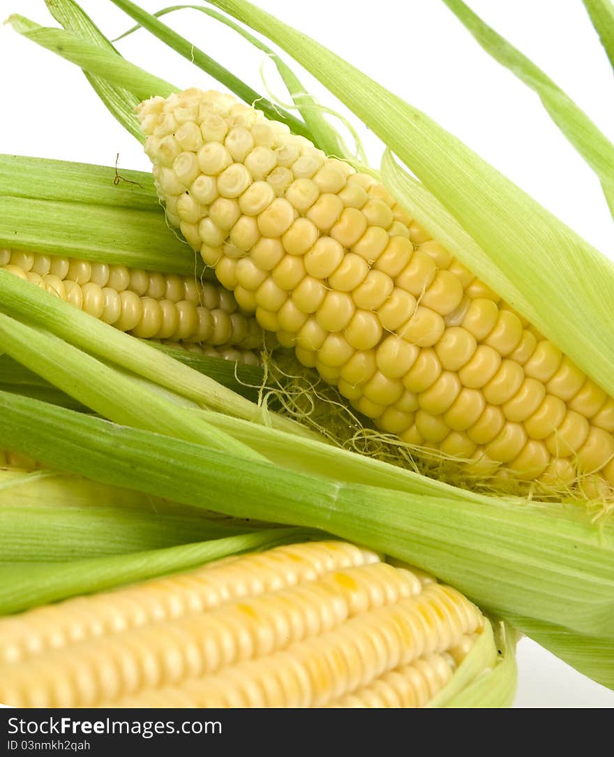 Corn With Leaves