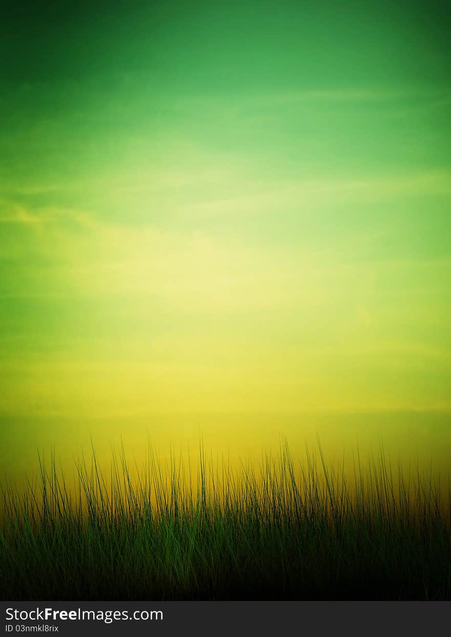 Silhouette of a grass against. Silhouette of a grass against