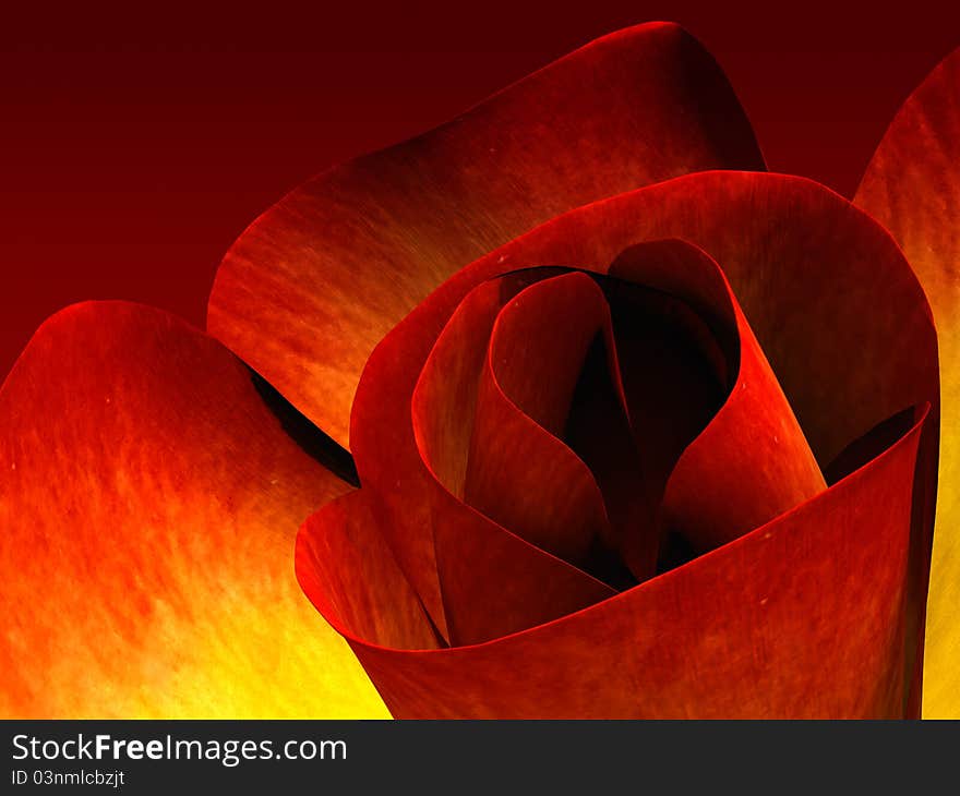 3D rendered red rose with petals in form of heart