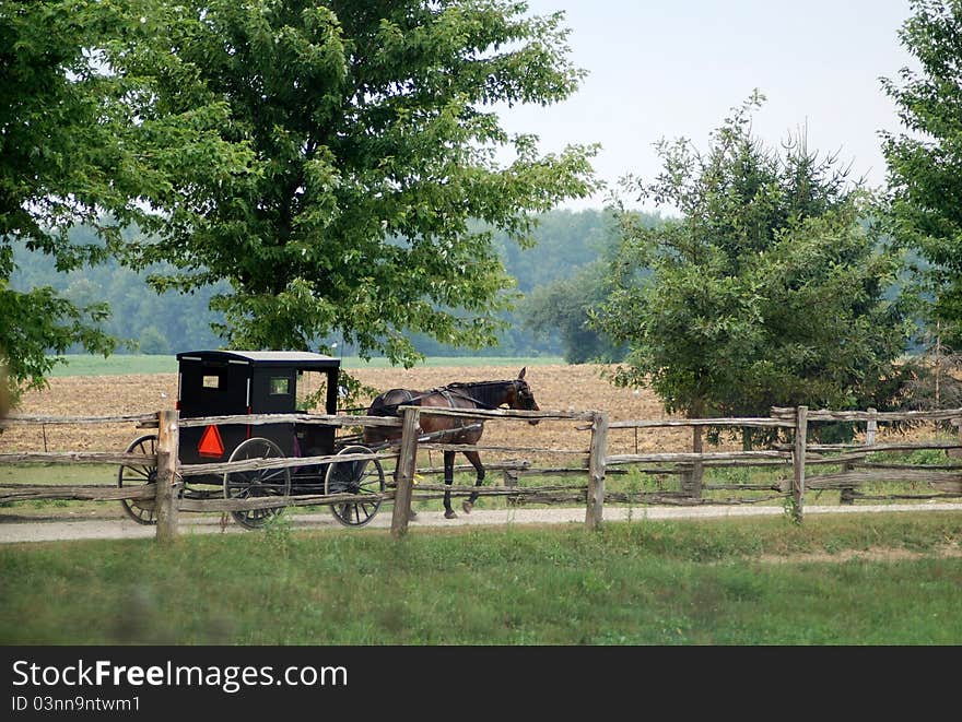 Horse driven carriage in the rural areas