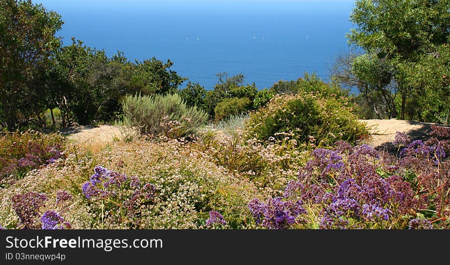 Badlands Trail Ocean View