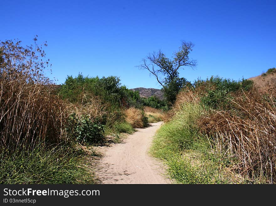 Fire road in Carbon Canyon Park, Orange County, CA. Fire road in Carbon Canyon Park, Orange County, CA