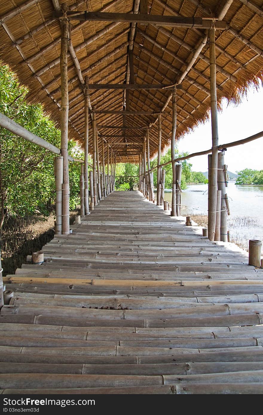 Bamboo walkway with roof beside mangrove forest