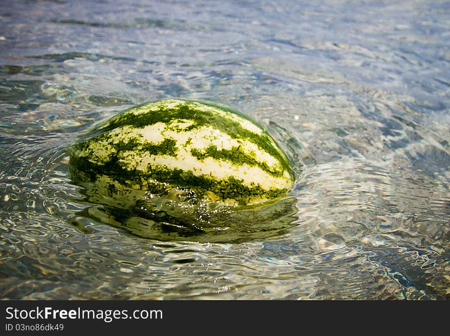 Nice watermelon floating in crystal clear water