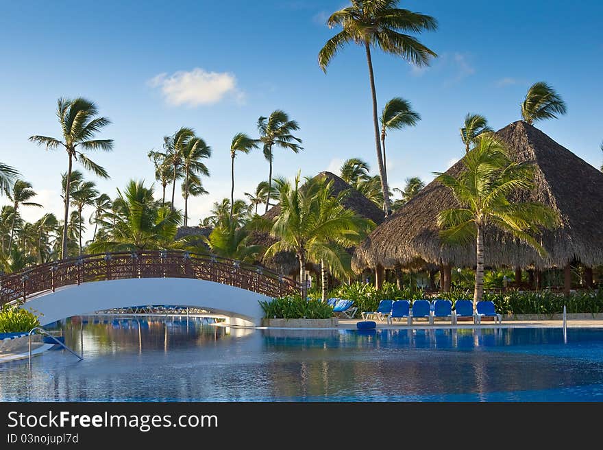 Blue and white plastic lounges near pool