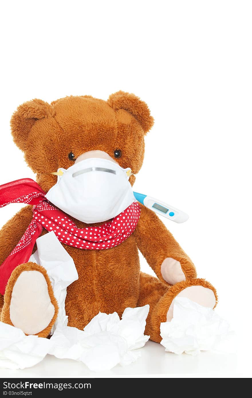 Bear with tissue and thermometer