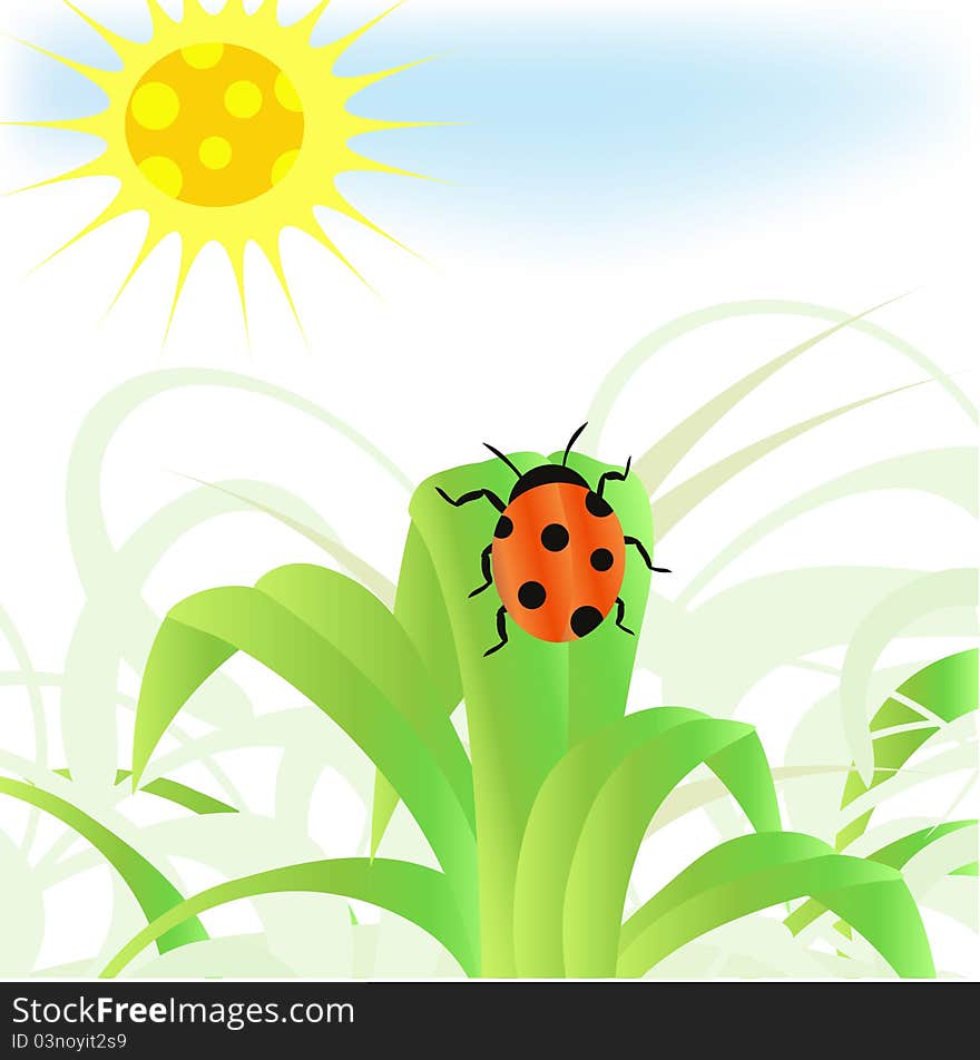 Ladybug On The Green Grass