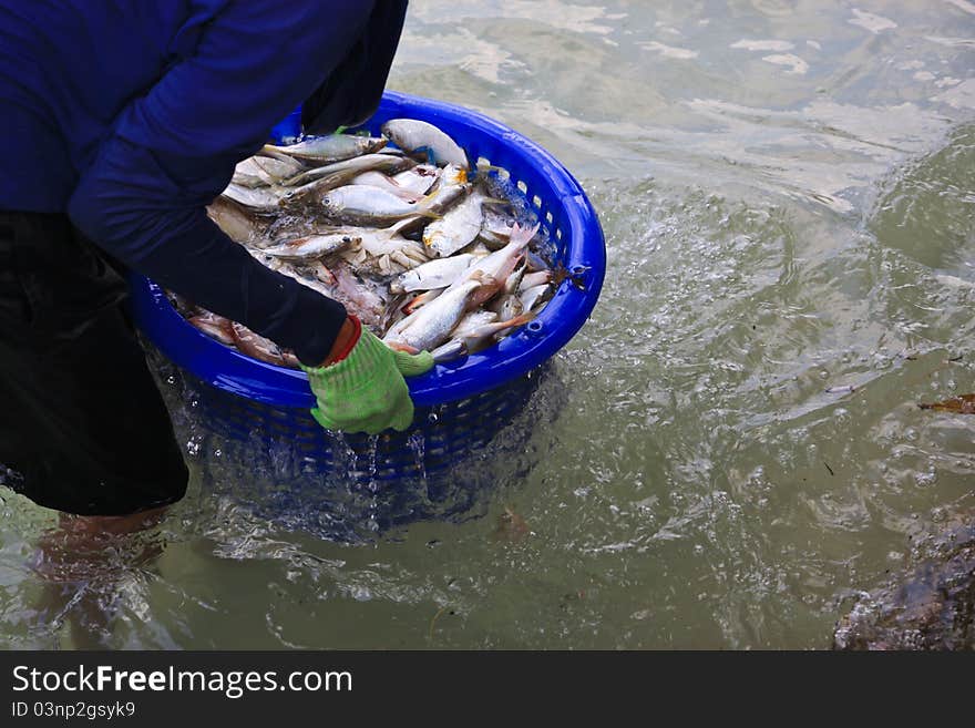 Hand hanging plastic basket of seafood