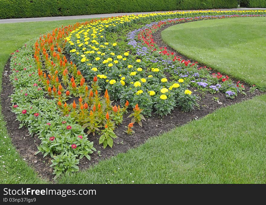 Rainbow flowerbed