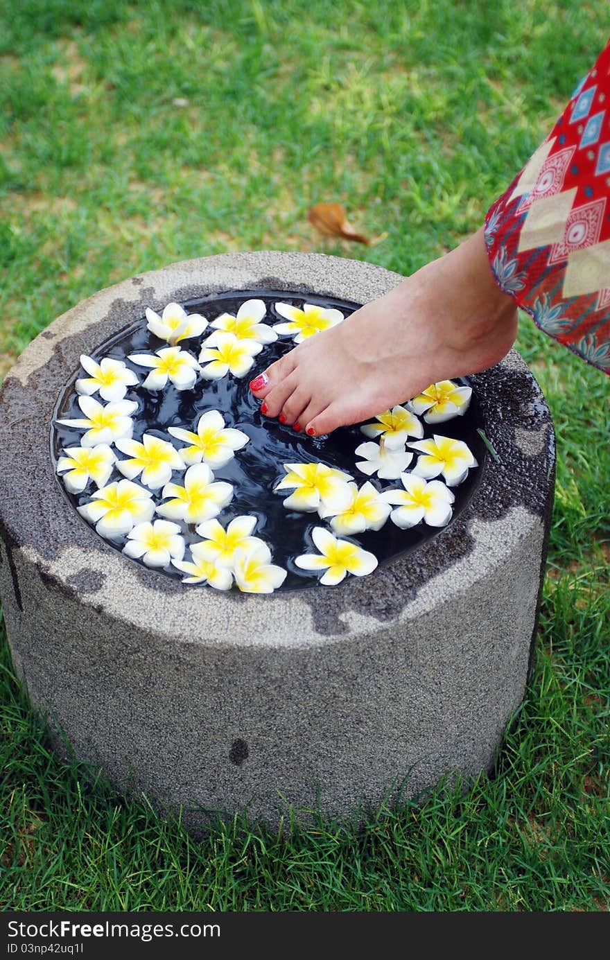 Woman's foot over a flower basin in grassland. Woman's foot over a flower basin in grassland