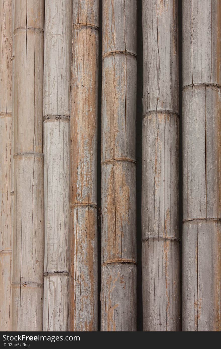 Native style bamboo background