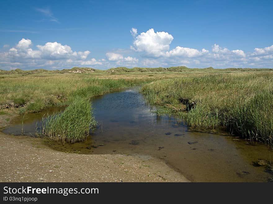 Landscape with water, grass and Dunes on Romo in Denmark. Landscape with water, grass and Dunes on Romo in Denmark