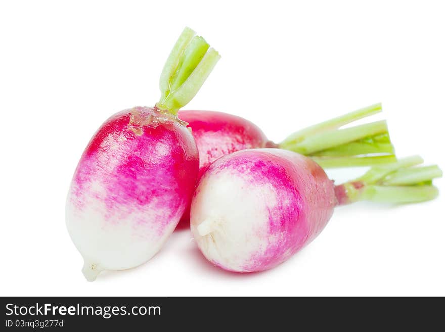 Three fresh garden radishes isolated over white background