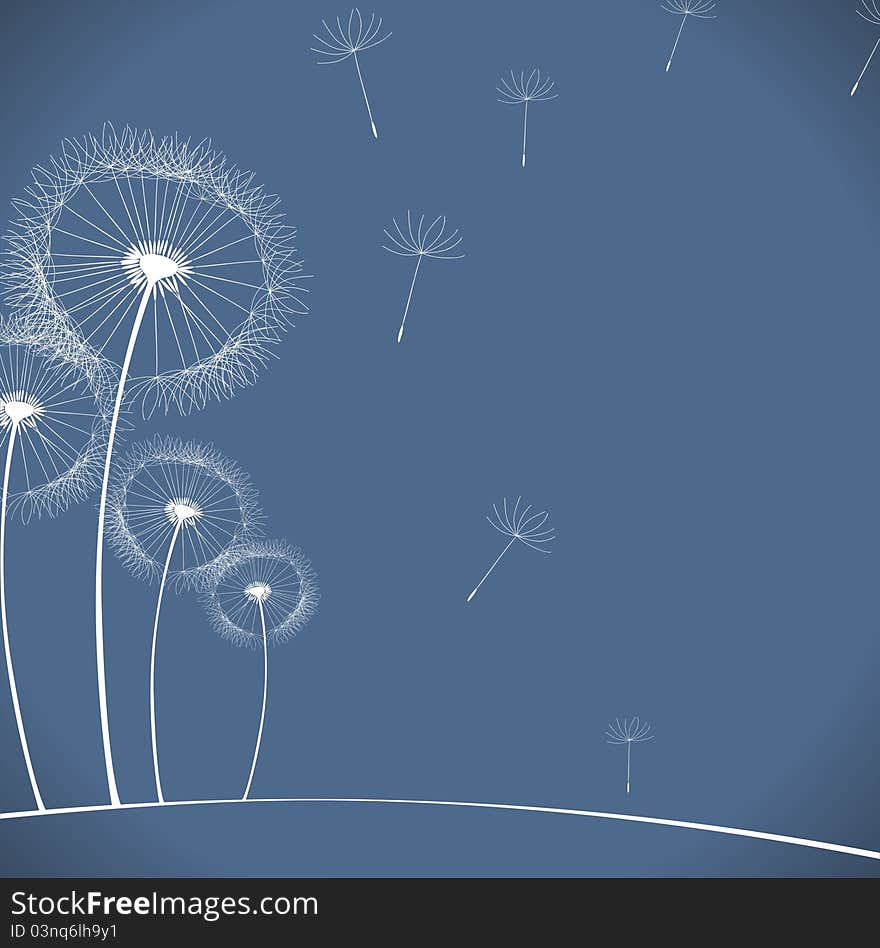 Dandelion On Dark Background