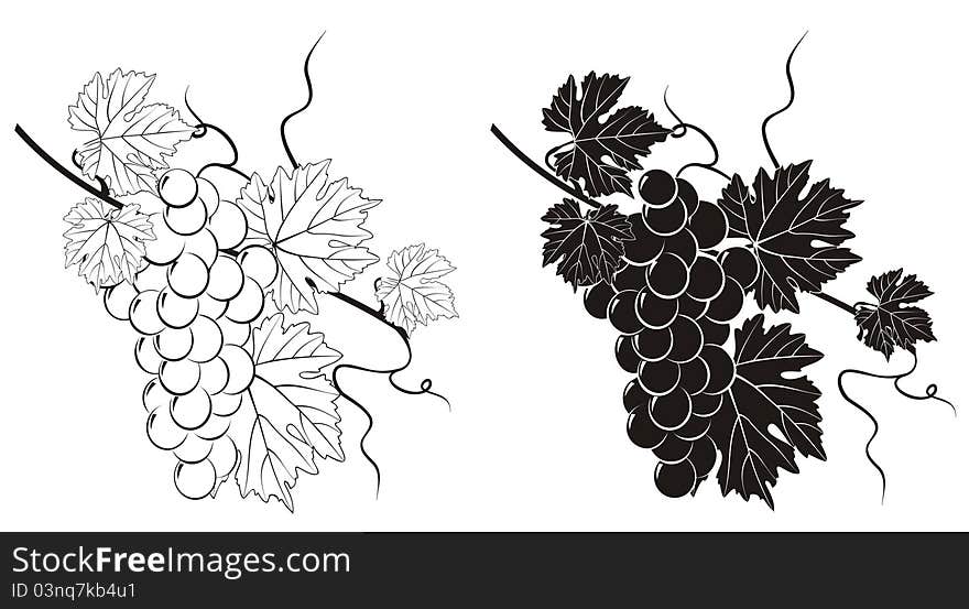 Vine silhouette