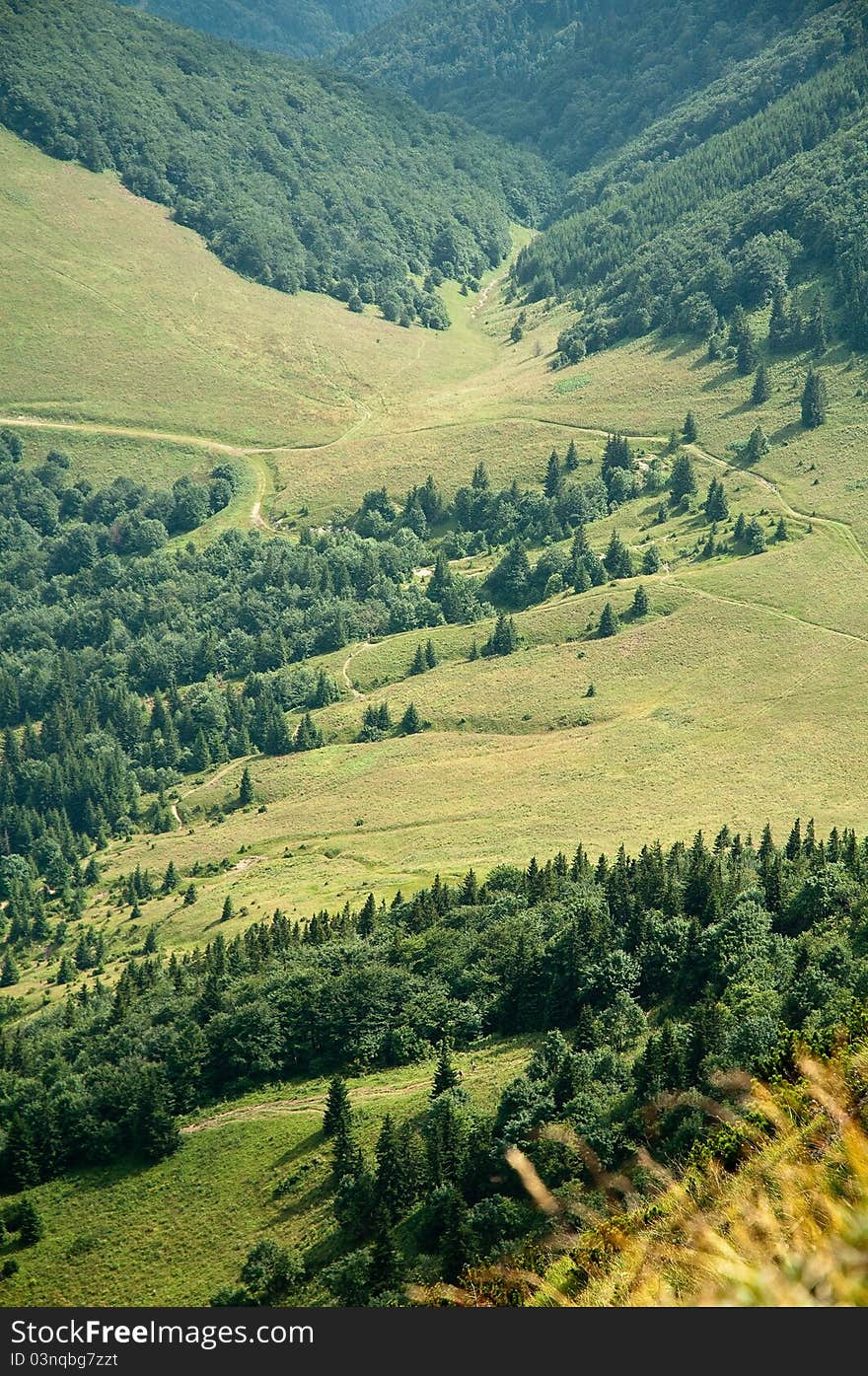 Vertical photo of meadows and forests taken from a hill. Vertical photo of meadows and forests taken from a hill