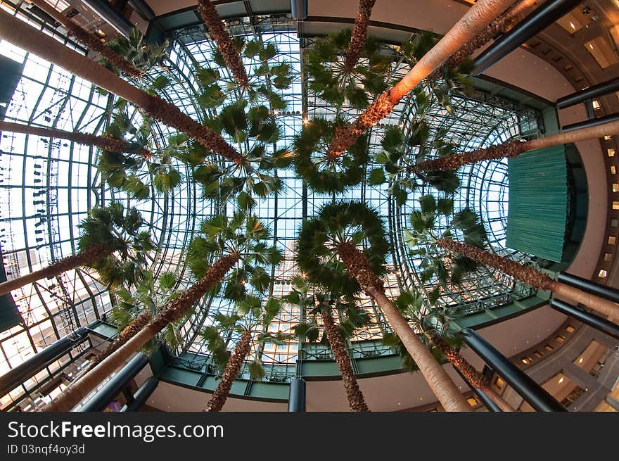 The Winter Garden, part of the World Financial Center buildings in the Financial District of New York City.