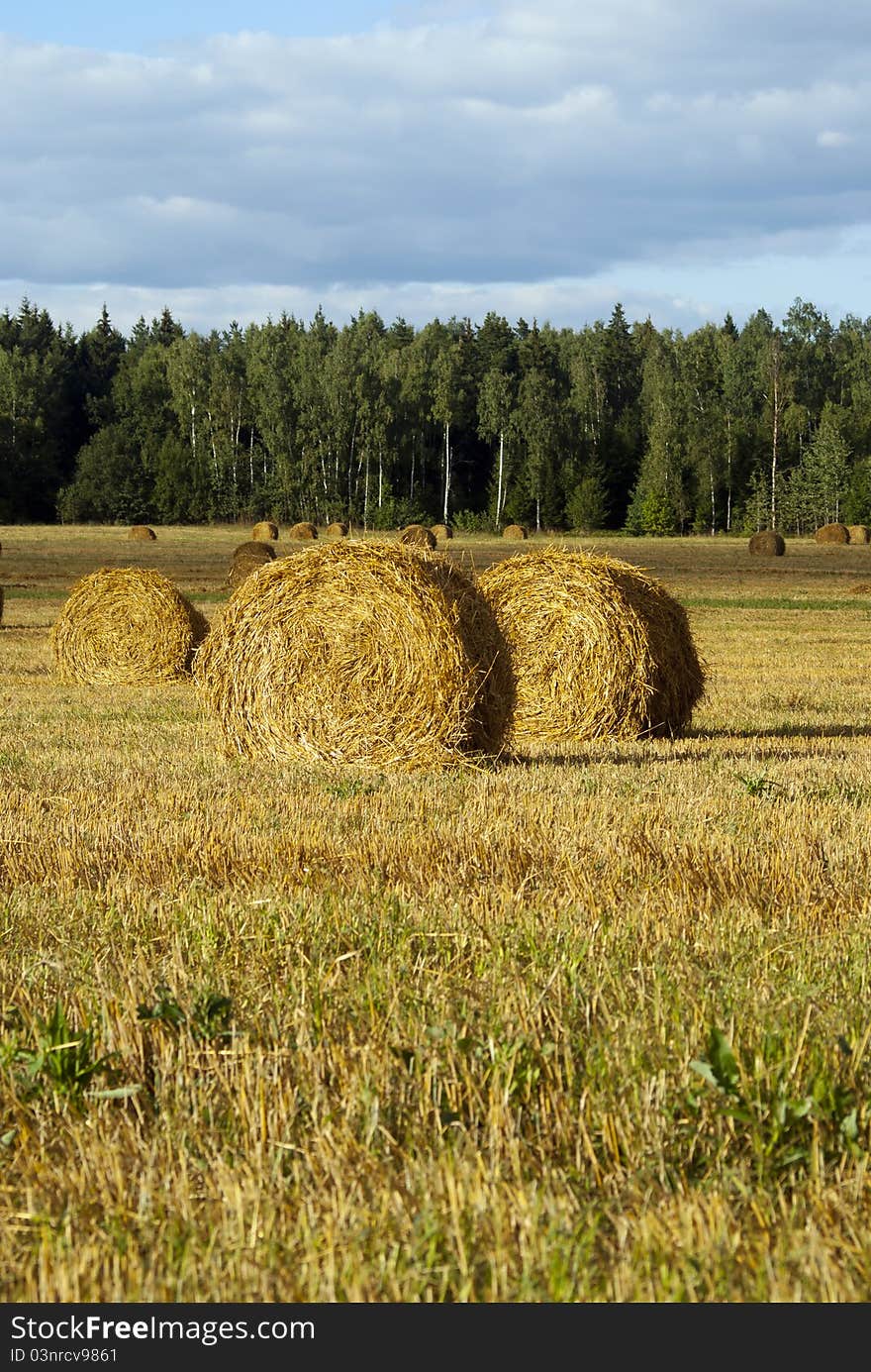 Field with haystack at summer