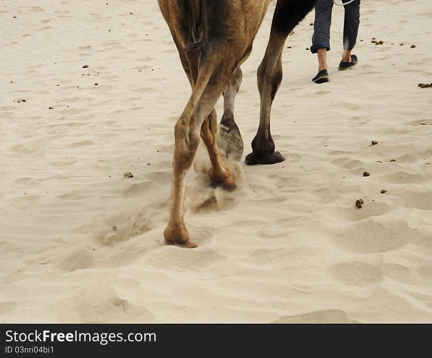 Footprints In Deserts