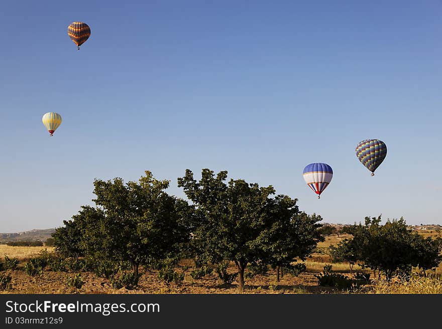 Hot air balloons in blue sky and trees, horizontal landscape, trees, morning sky, vista, copy space, crop area. Hot air balloons in blue sky and trees, horizontal landscape, trees, morning sky, vista, copy space, crop area