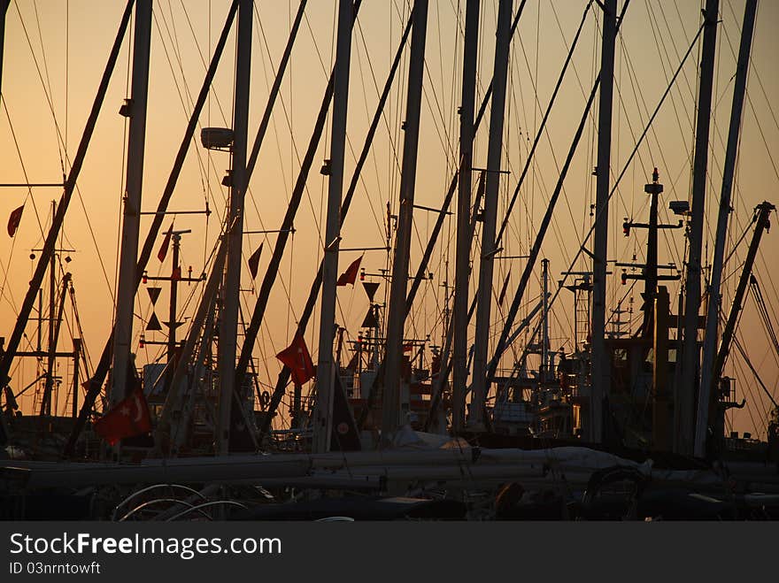 A lot of sailboat sticks on sunset