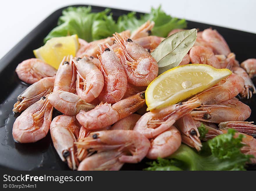 Coldwater shrimps