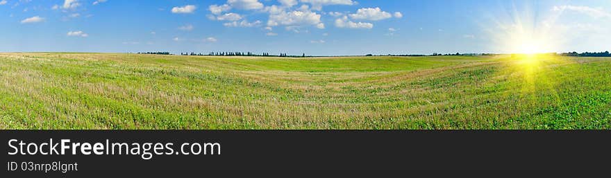 Panorama of mown field of wheat and amazing blue sky with white clouds. Panorama of mown field of wheat and amazing blue sky with white clouds.