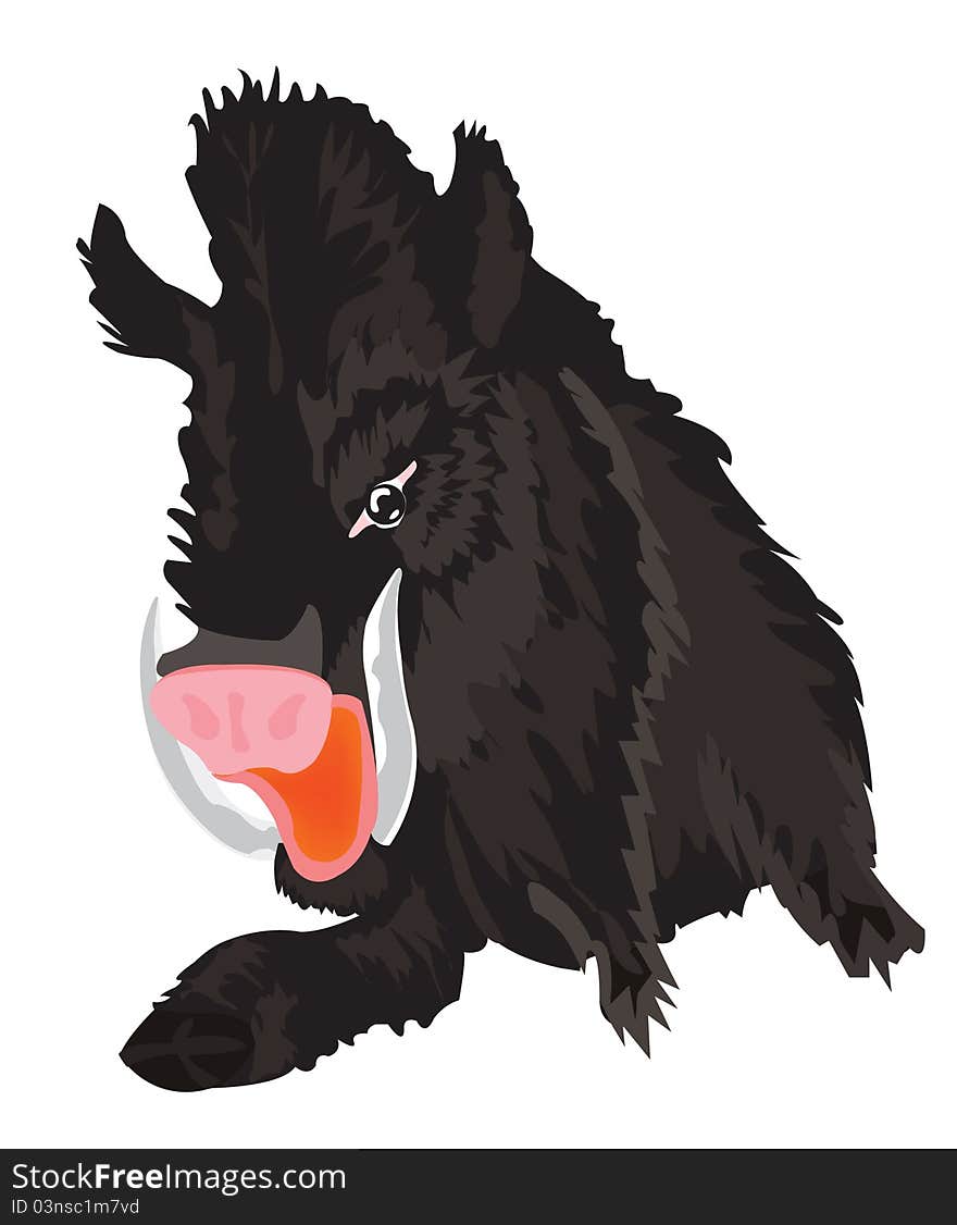 Vector illustration of the wild wild boar on white background