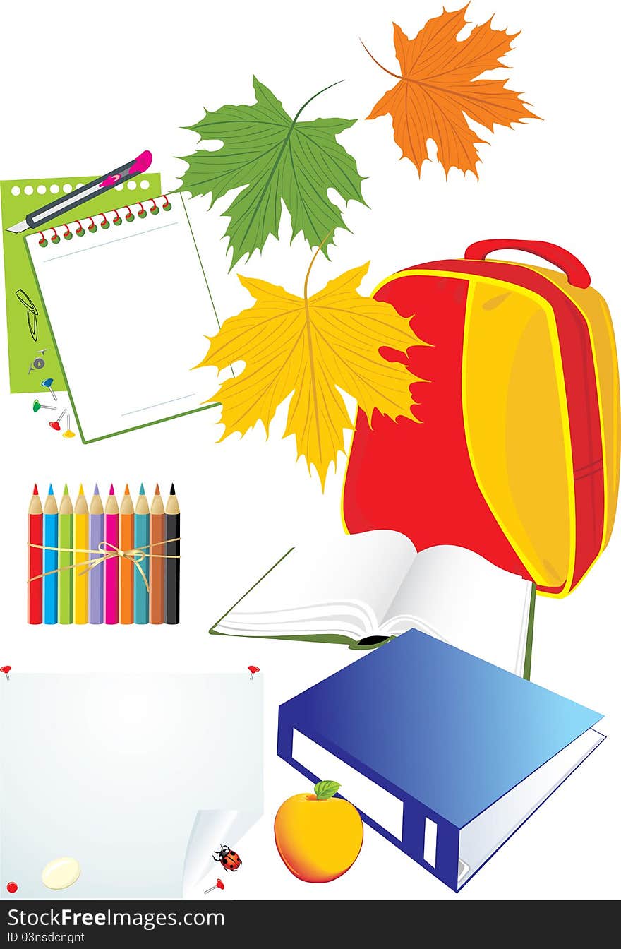 Set of school accessories. Illustration