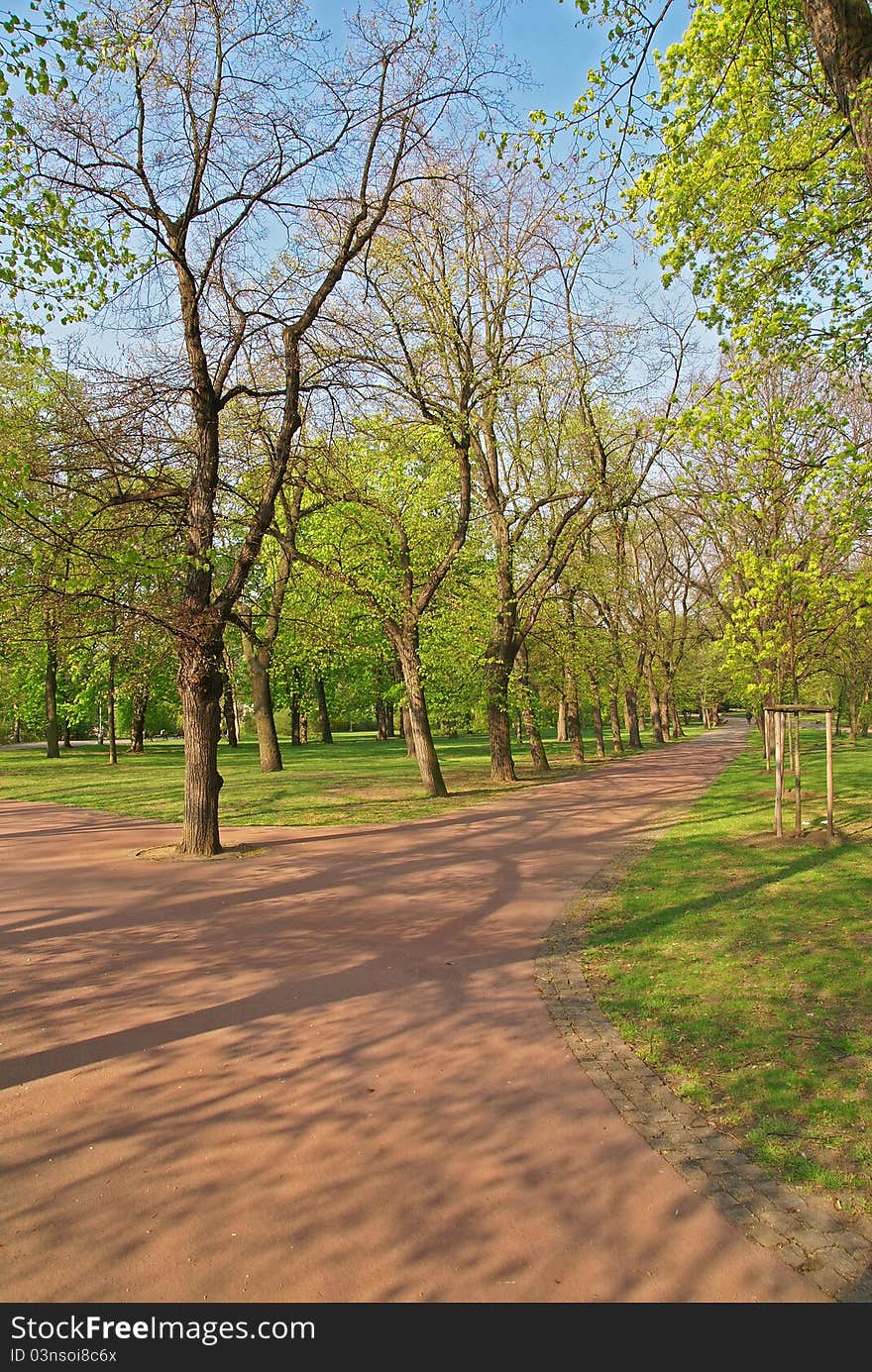 Path In The Park