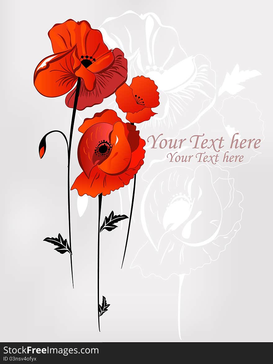 Elegant background with three poppies