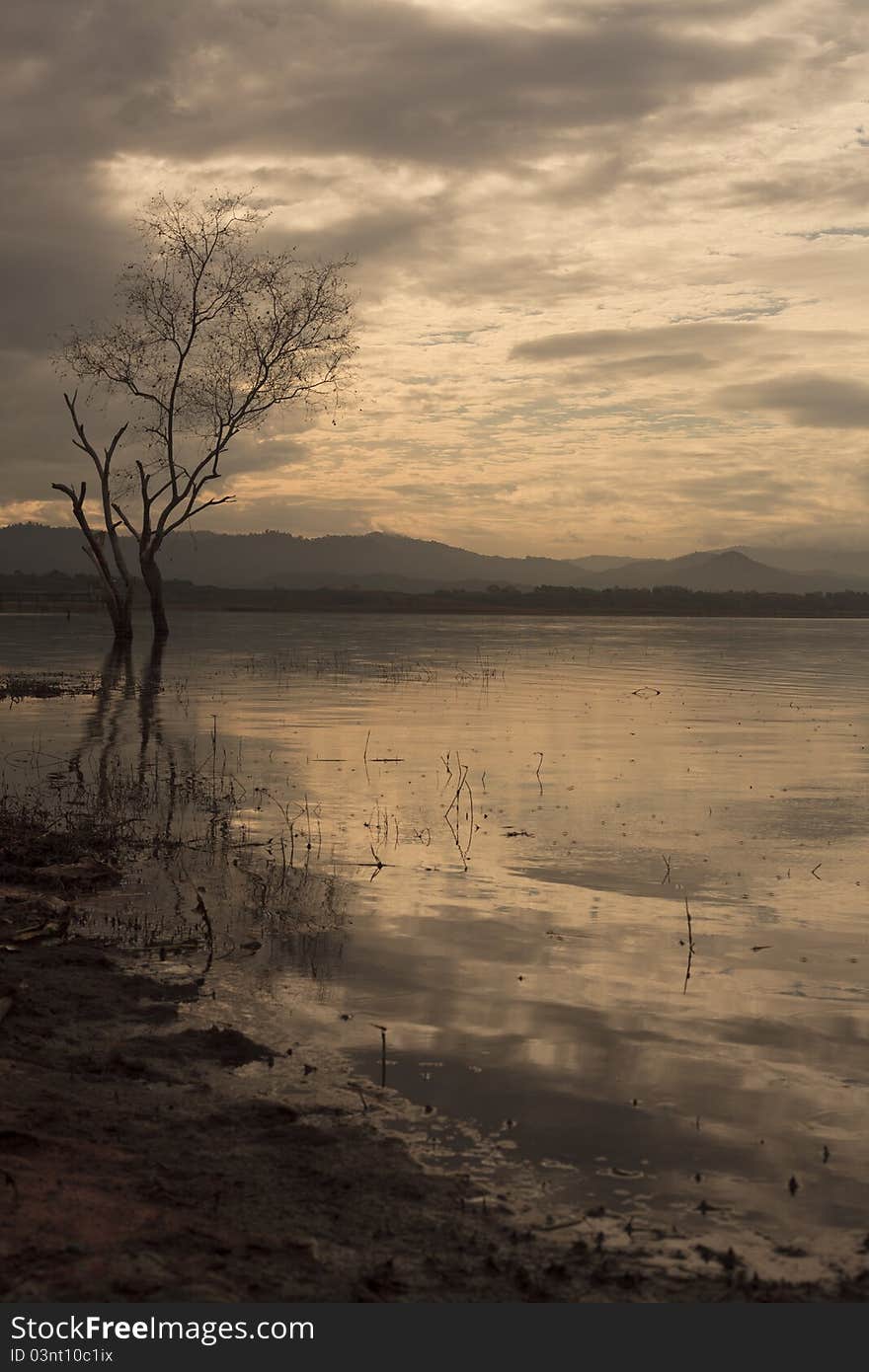 Sunrise with dede tree at Bangpra reservor, Thailand. Sunrise with dede tree at Bangpra reservor, Thailand