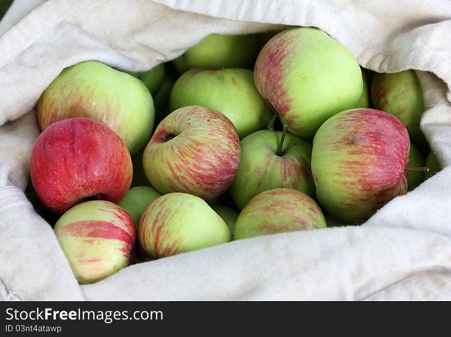 Bag of Red-Green Apples in autumn. Bag of Red-Green Apples in autumn