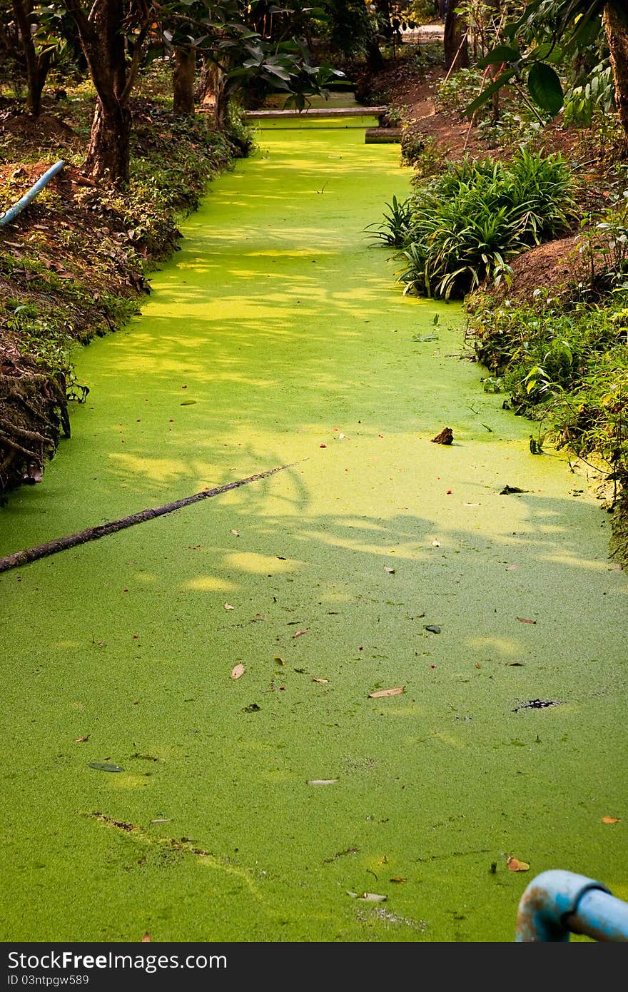 Local soil canel in fruit garden