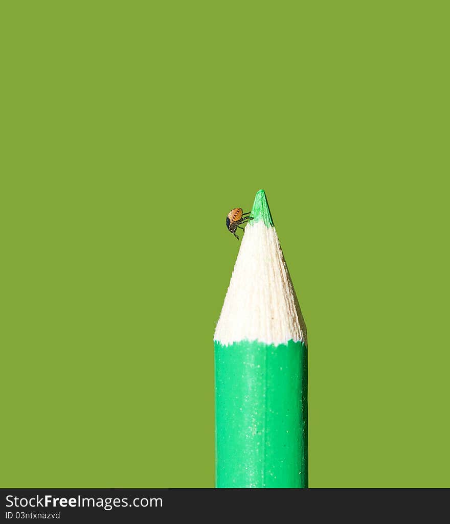 Macro image of a tiny baby lady bug perched on a green pencil crayon isolated on green with copy space. Macro image of a tiny baby lady bug perched on a green pencil crayon isolated on green with copy space.