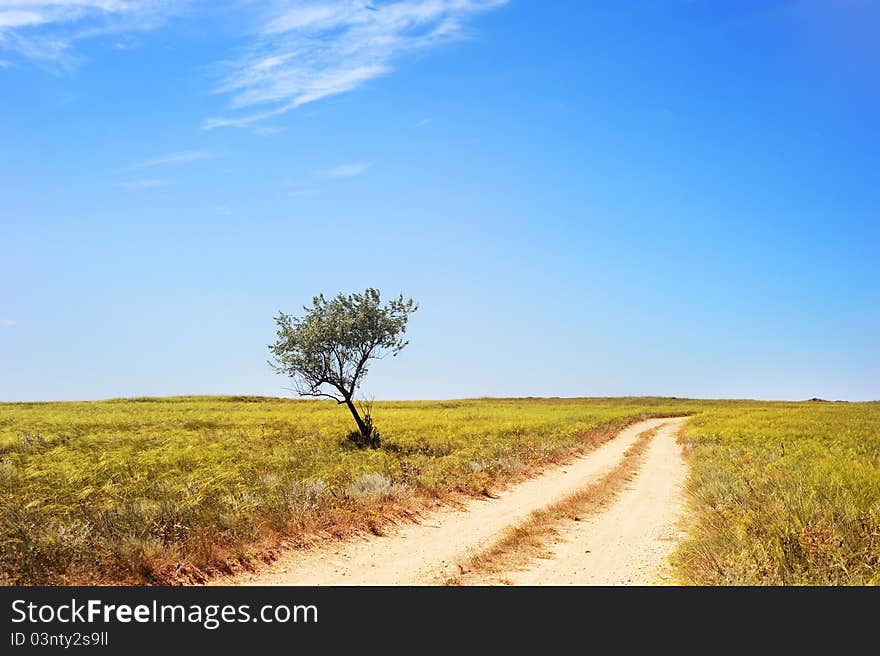 Empty country road in Crimea, Ukraine,. Empty country road in Crimea, Ukraine,