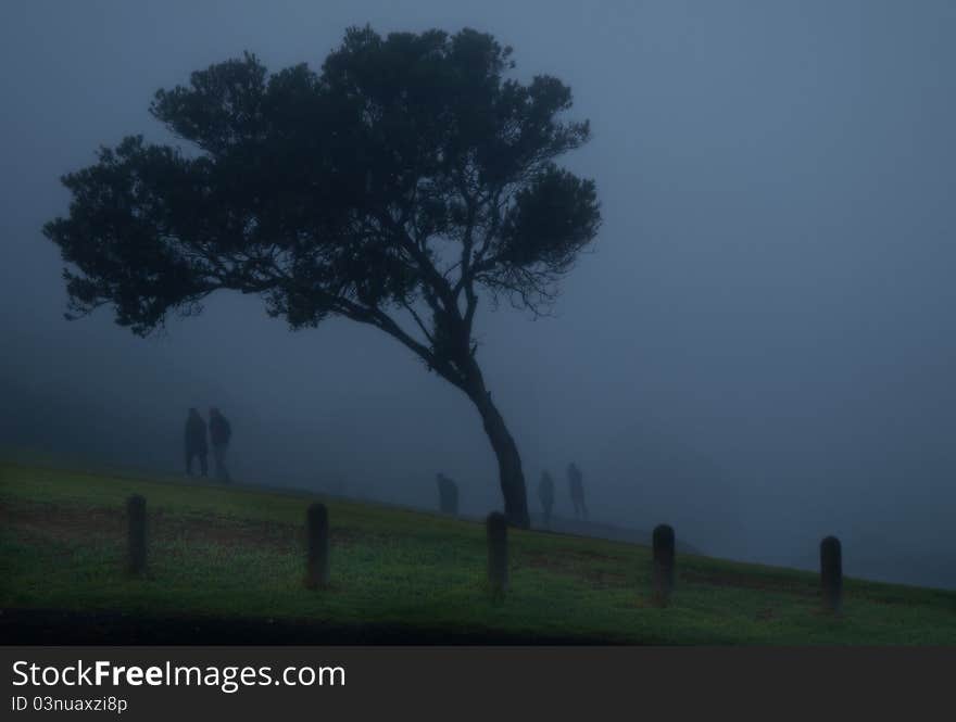 Cape Town in the fog