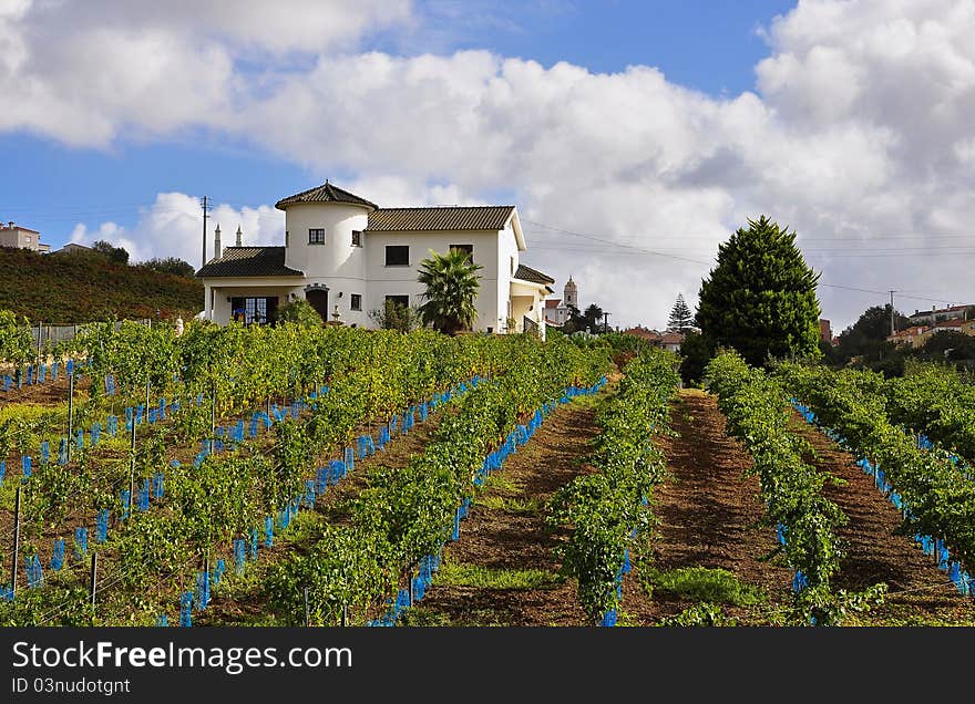 Portugal Villa village architecture, vineyards, gardens and fresh air. Portugal Villa village architecture, vineyards, gardens and fresh air