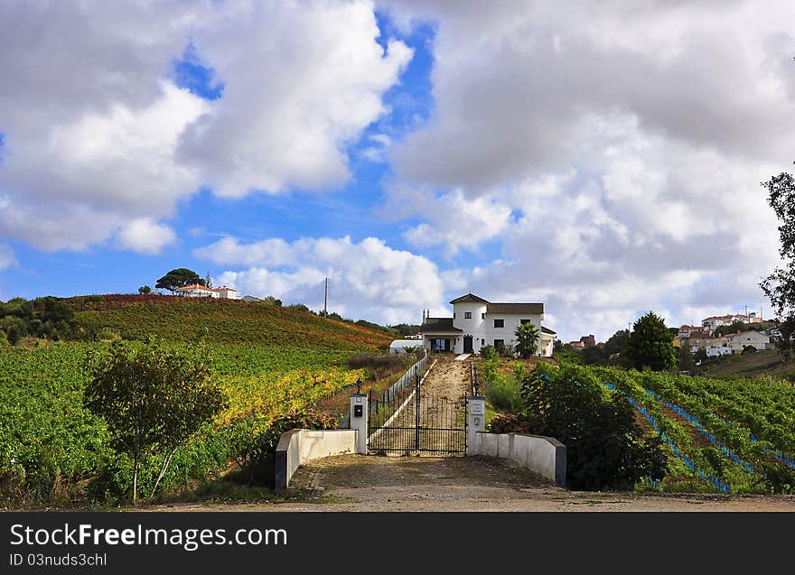 Portugal Villa village architecture, vineyards, gardens and fresh air. Portugal Villa village architecture, vineyards, gardens and fresh air