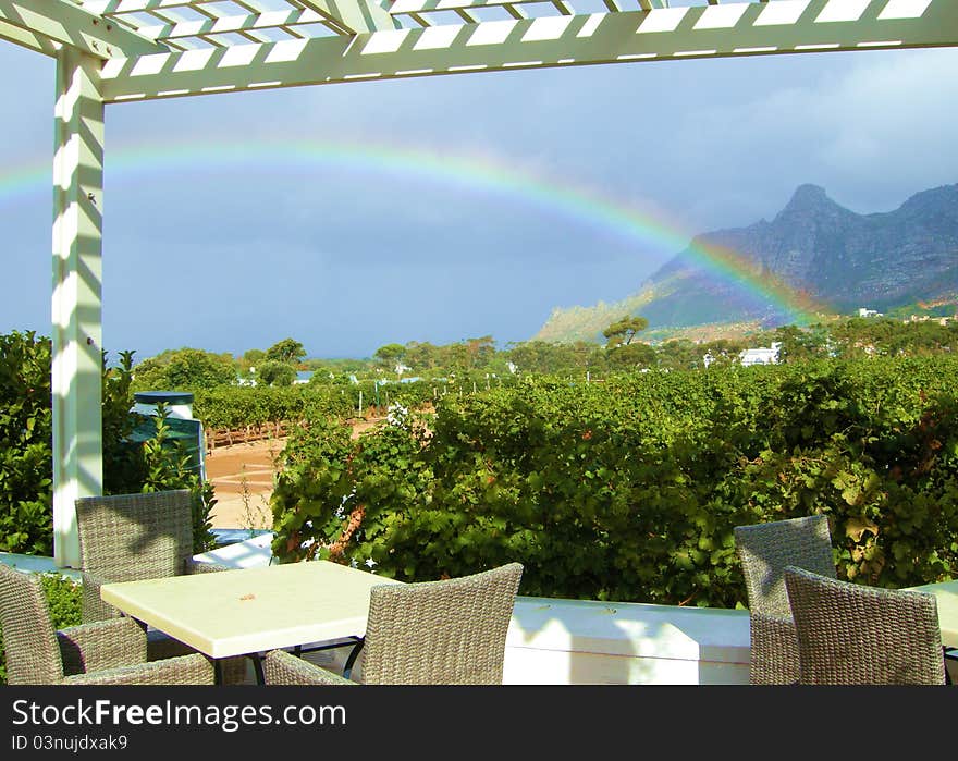 Rainbow over wine farm