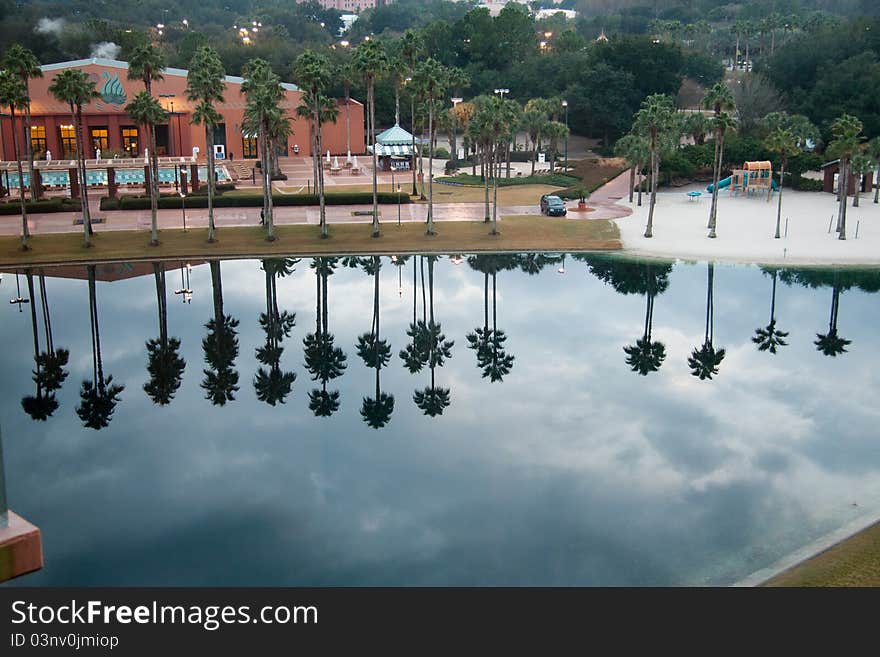 Trees casting a shadow across the water. Trees casting a shadow across the water