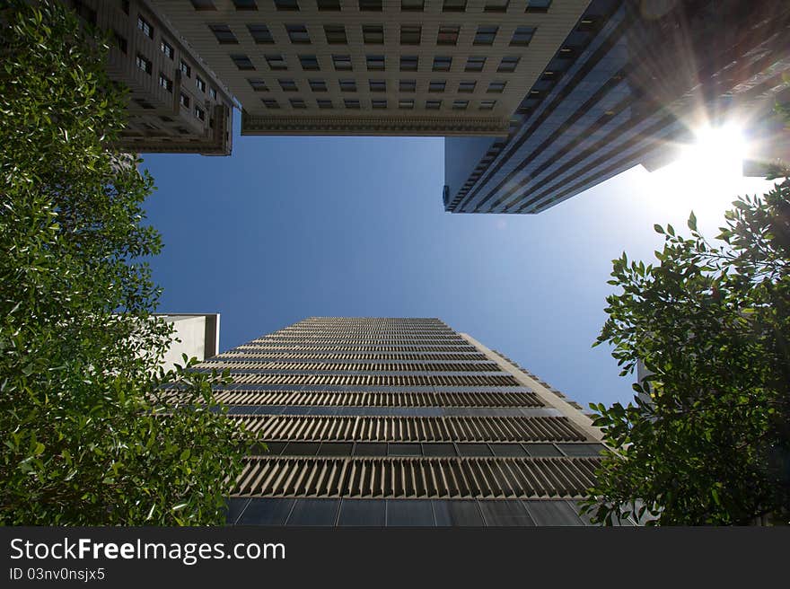 Towers in the Green City. Towers in the Green City